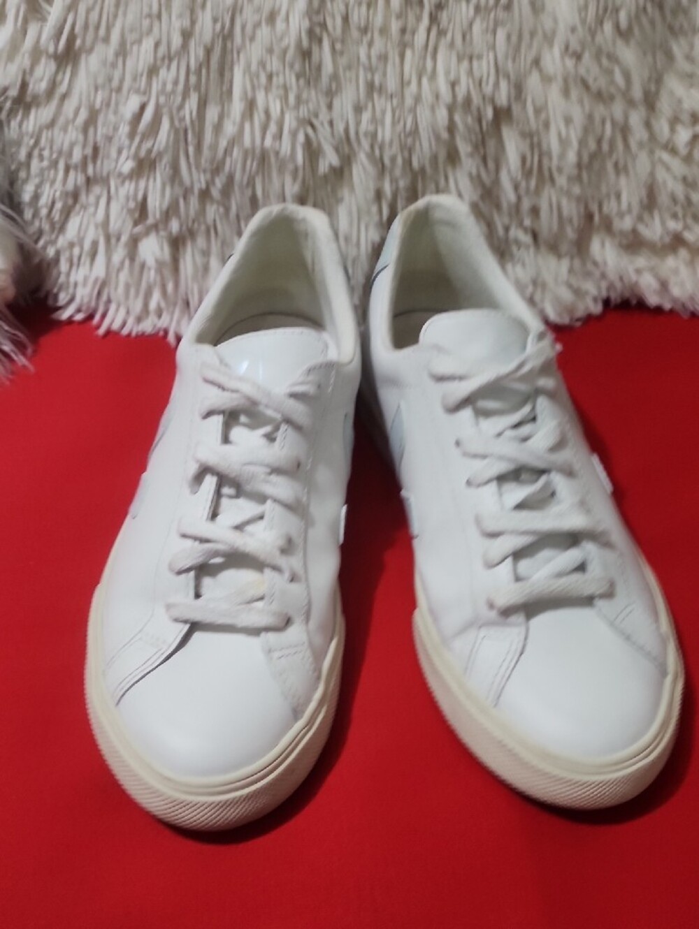 Veja Esplar White Leather Low-Top Sneakers with Pale Blue Logo - Picture 4 of 13